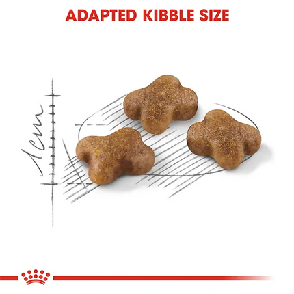 Royal Canin Second Age Kitten Dry Kitten Food