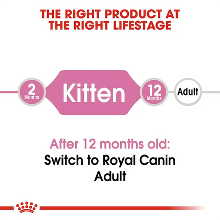 Royal Canin Second Age Kitten Dry Kitten Food