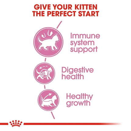 Royal Canin Second Age Kitten Dry Kitten Food